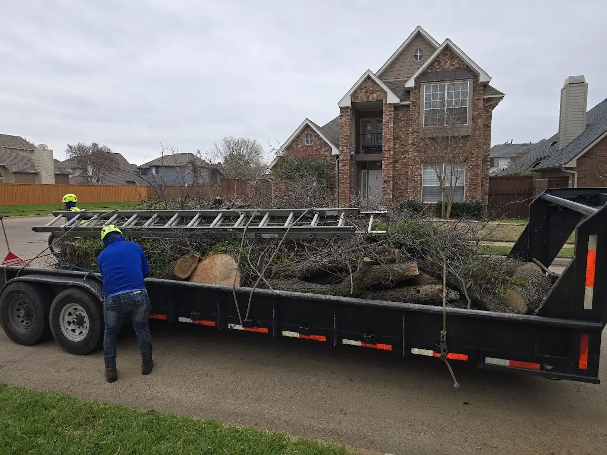 Expert Lot Clearing with proper safety equipment in Silver Creek